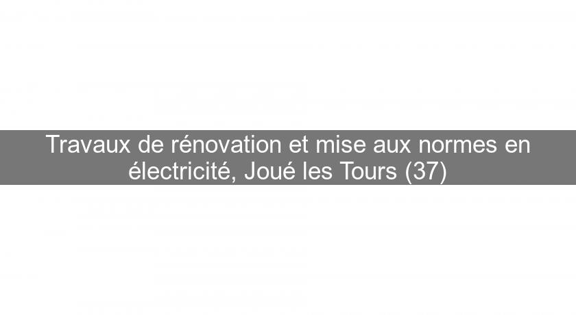 Travaux de rénovation et mise aux normes en électricité, Joué les Tours (37) Travaux de rénovation et mise aux normes en électricité, Joué les Tours (37)