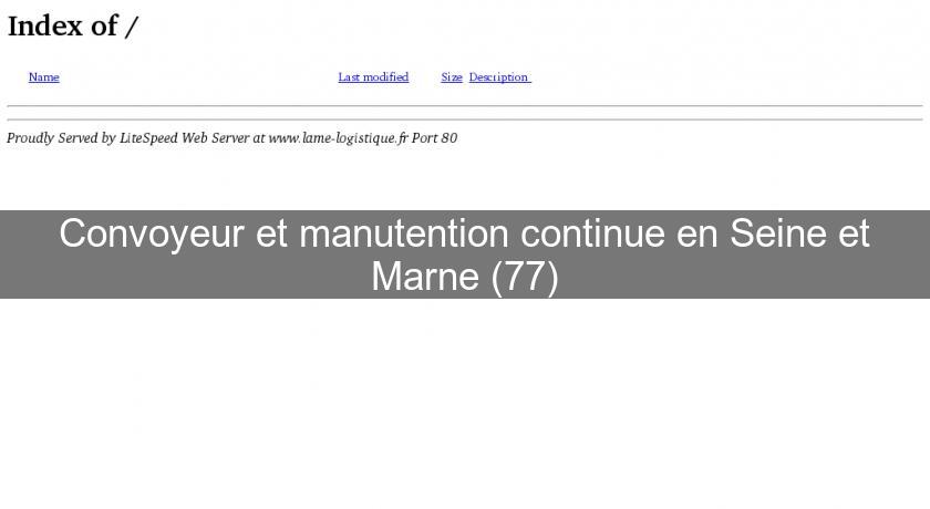 Convoyeur et manutention continue en Seine et Marne (77) Convoyeur et manutention continue en Seine et Marne (77)