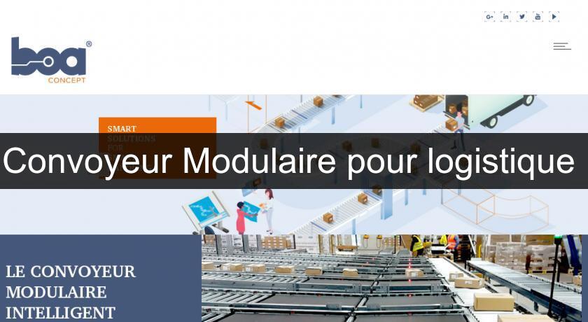 Convoyeur Modulaire pour logistique Convoyeur Modulaire pour logistique