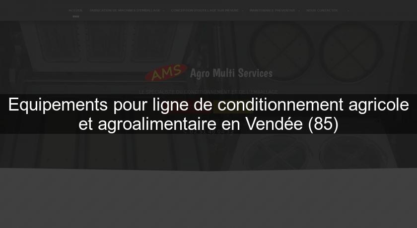 Equipements pour ligne de conditionnement agricole et agroalimentaire en Vendée (85) Equipements pour ligne de conditionnement agricole et agroalimentaire en Vendée (85)