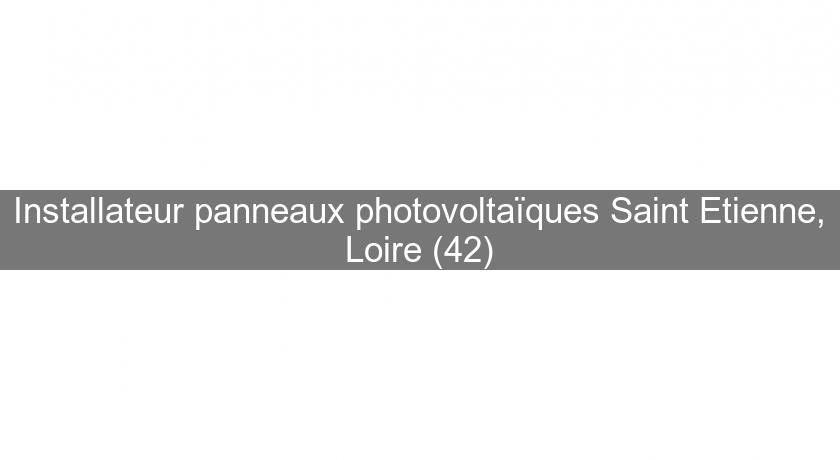 Installateur panneaux photovoltaïques Saint Etienne, Loire (42) Installateur panneaux photovoltaïques Saint Etienne, Loire (42)