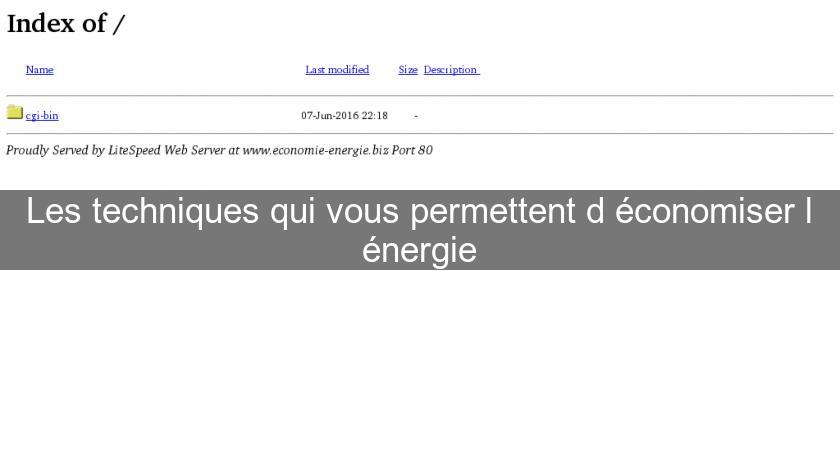 Les techniques qui vous permettent d'économiser l'énergie Les techniques qui vous permettent d'économiser l'énergie