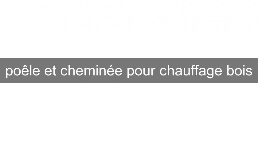 poêle et cheminée pour chauffage bois poêle et cheminée pour chauffage bois