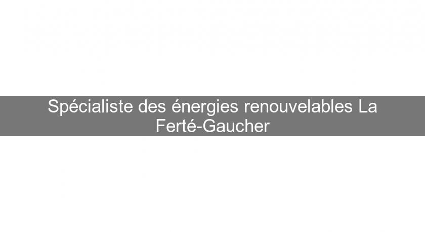 Spécialiste des énergies renouvelables La Ferté-Gaucher Spécialiste des énergies renouvelables La Ferté-Gaucher