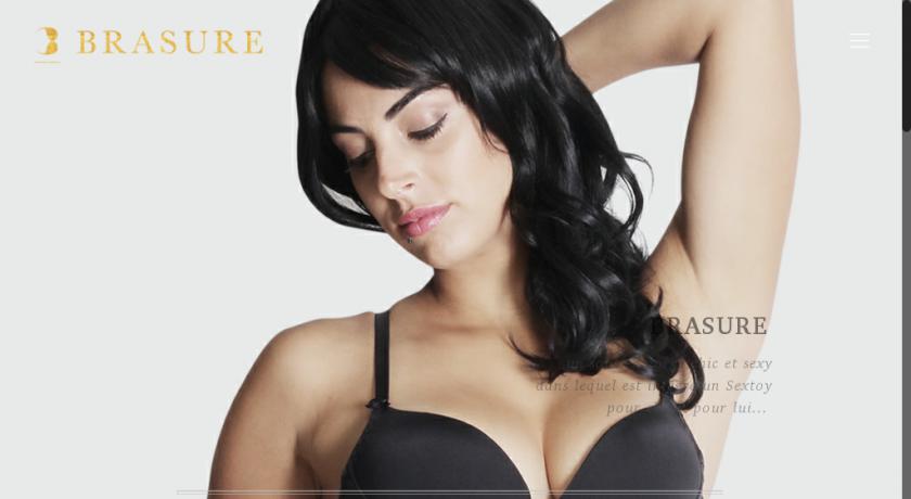 Lingerie haut de gamme coquine avec sextoy intégré Lingerie haut de gamme coquine avec sextoy intégré