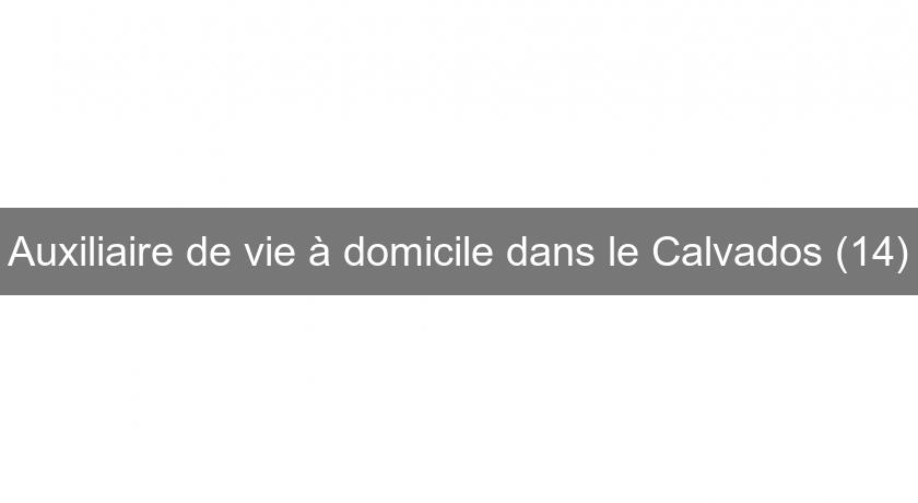 Auxiliaire de vie à domicile dans le Calvados (14) Auxiliaire de vie à domicile dans le Calvados (14)