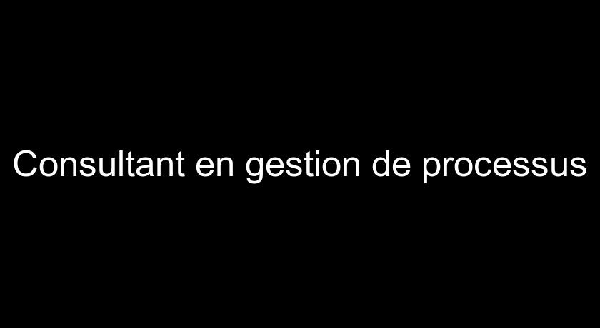 Consultant en gestion de processus Consultant en gestion de processus