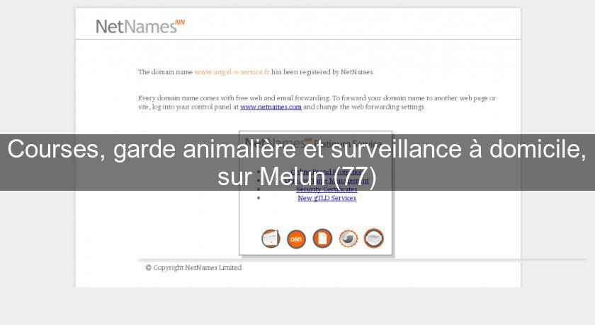 Courses, garde animalière et surveillance à domicile, sur Melun (77) Courses, garde animalière et surveillance à domicile, sur Melun (77)