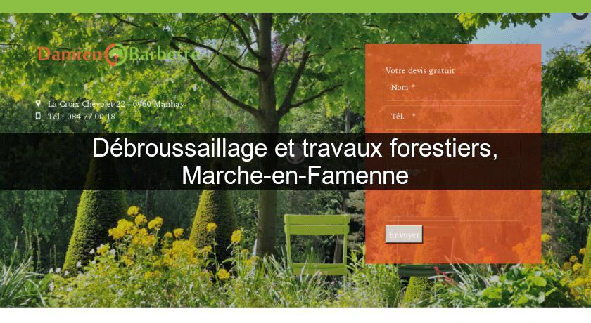 Débroussaillage et travaux forestiers, Marche-en-Famenne Débroussaillage et travaux forestiers, Marche-en-Famenne