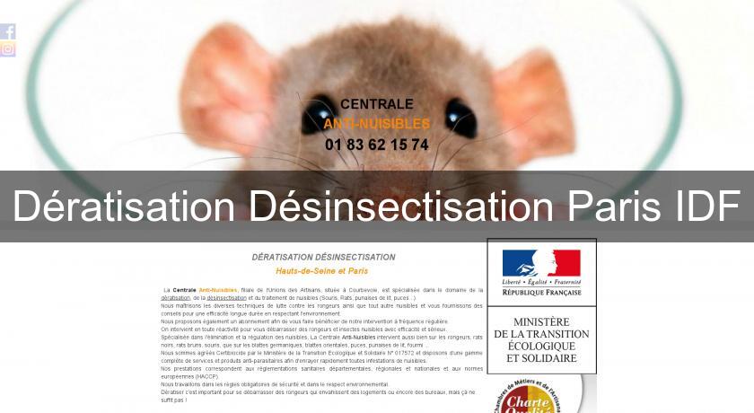 Dératisation Désinsectisation Paris IDF Dératisation Désinsectisation Paris IDF