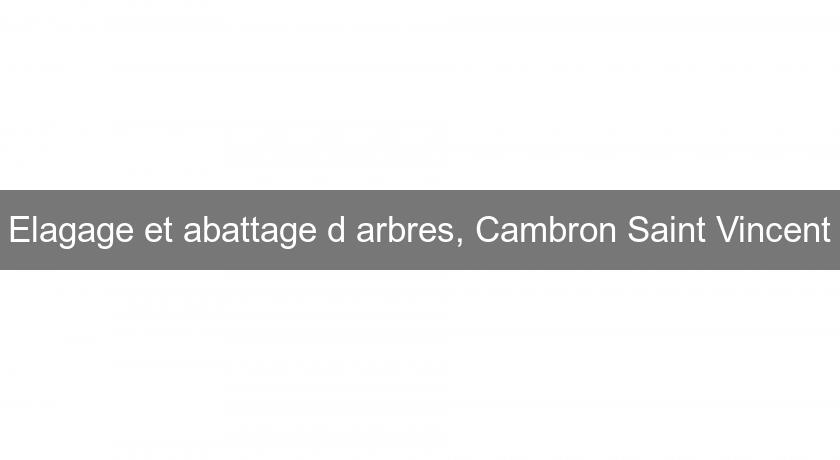 Elagage et abattage d'arbres, Cambron Saint Vincent Elagage et abattage d'arbres, Cambron Saint Vincent
