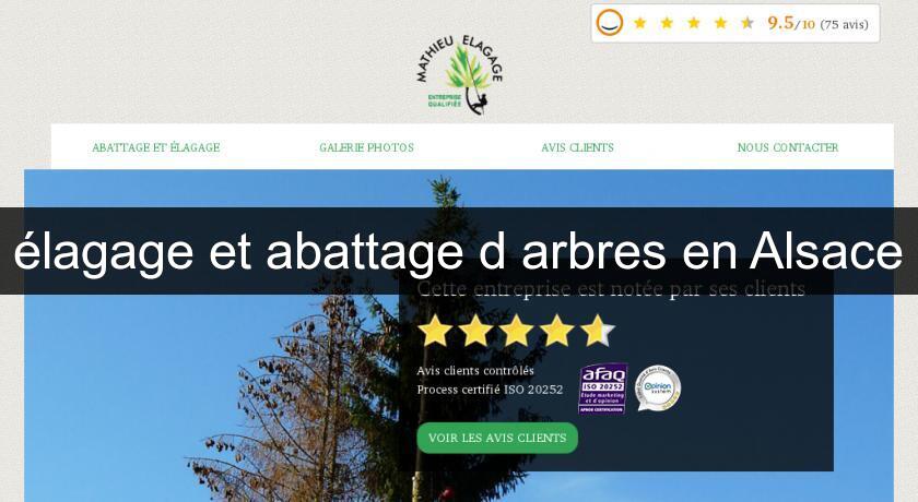 élagage et abattage d'arbres en Alsace élagage et abattage d'arbres en Alsace