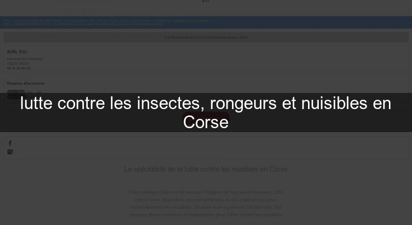 lutte contre les insectes, rongeurs et nuisibles en Corse lutte contre les insectes, rongeurs et nuisibles en Corse