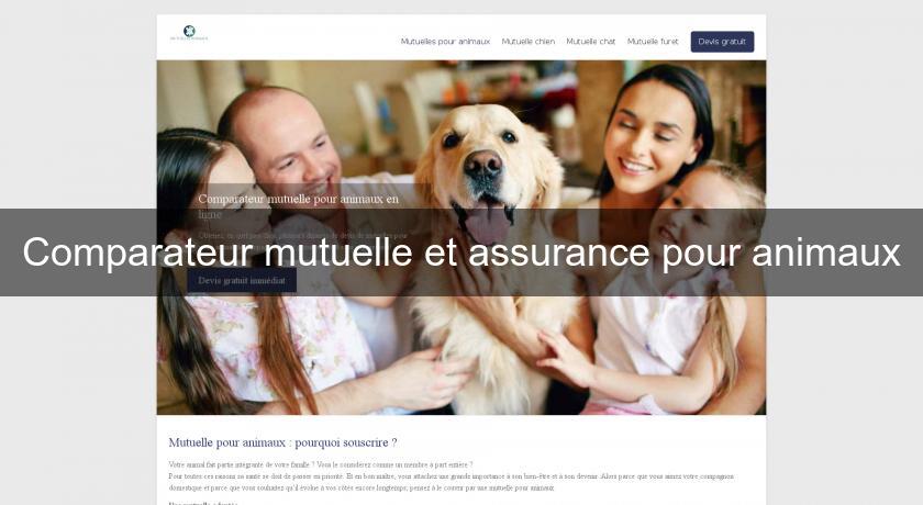 Comparateur mutuelle et assurance pour animaux Comparateur mutuelle et assurance pour animaux