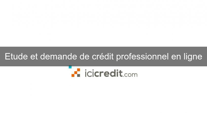 Etude et demande de crédit professionnel en ligne Etude et demande de crédit professionnel en ligne