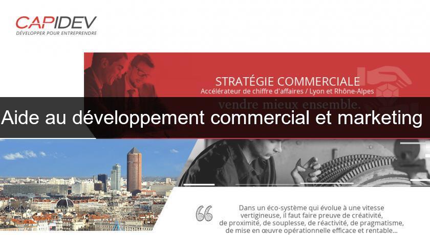 Aide au développement commercial et marketing Aide au développement commercial et marketing