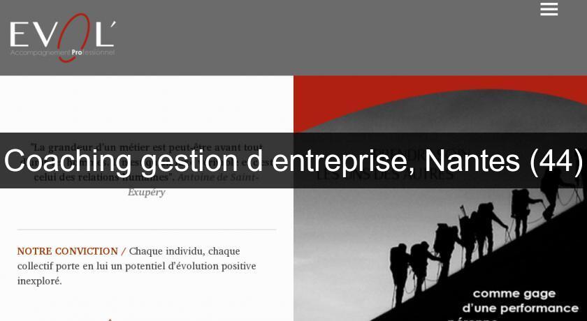 Coaching gestion d'entreprise, Nantes (44) Coaching gestion d'entreprise, Nantes (44)