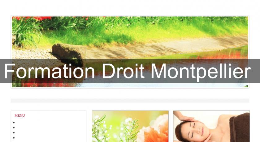 Formation Droit Montpellier Formation Droit Montpellier