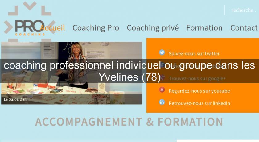 coaching professionnel individuel ou groupe dans les Yvelines (78) coaching professionnel individuel ou groupe dans les Yvelines (78)