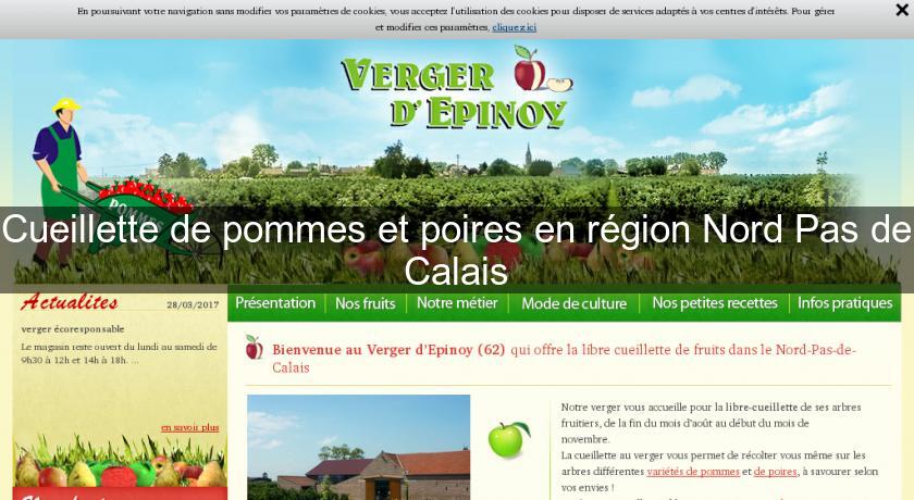 Cueillette de pommes et poires en région Nord Pas de Calais Cueillette de pommes et poires en région Nord Pas de Calais
