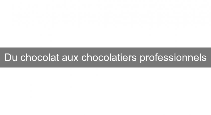 Du chocolat aux chocolatiers professionnels Du chocolat aux chocolatiers professionnels