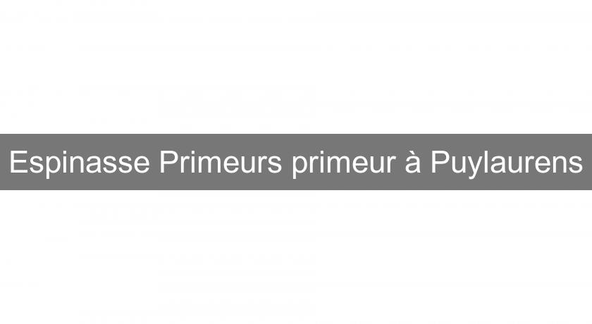 Espinasse Primeurs primeur à Puylaurens Espinasse Primeurs primeur à Puylaurens