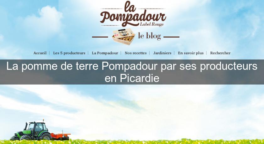 La pomme de terre Pompadour par ses producteurs en Picardie La pomme de terre Pompadour par ses producteurs en Picardie