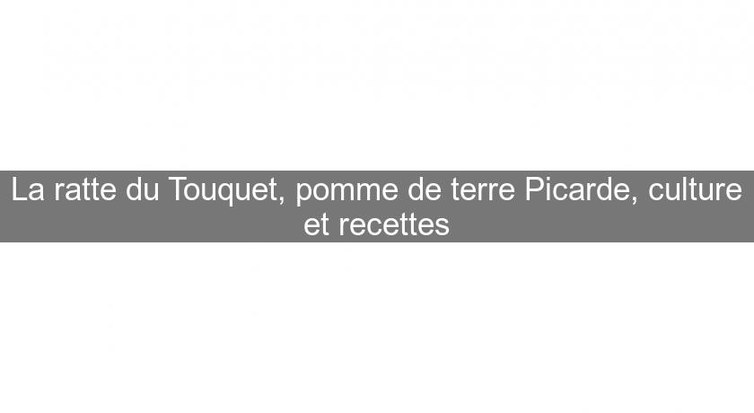La ratte du Touquet, pomme de terre Picarde, culture et recettes La ratte du Touquet, pomme de terre Picarde, culture et recettes