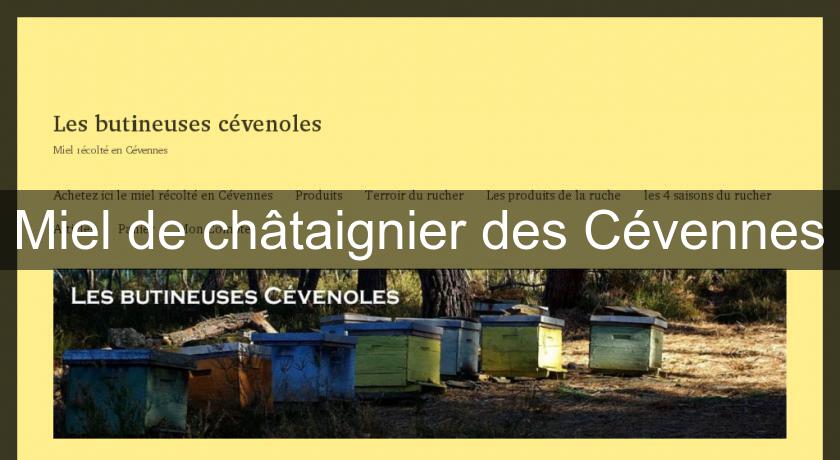 Miel de châtaignier des Cévennes Miel de châtaignier des Cévennes