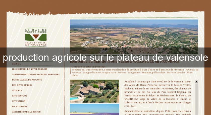 production agricole sur le plateau de valensole production agricole sur le plateau de valensole
