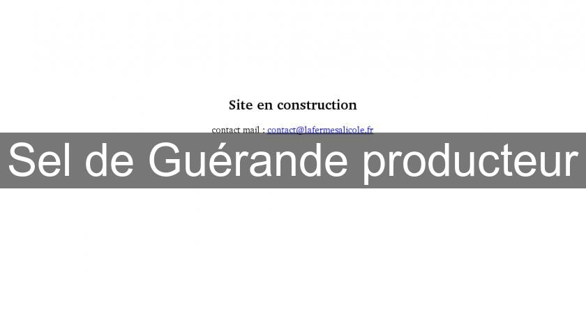 Sel de Guérande producteur Sel de Guérande producteur