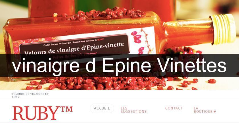 vinaigre d'Epine Vinettes vinaigre d'Epine Vinettes