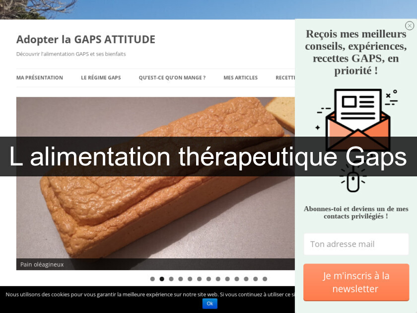 L'alimentation thérapeutique Gaps L'alimentation thérapeutique Gaps