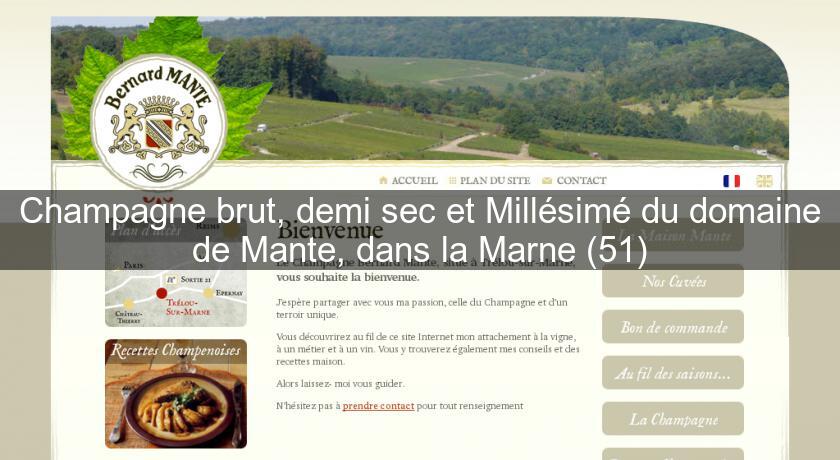 Champagne brut, demi sec et Millésimé du domaine de Mante, dans la Marne (51) Champagne brut, demi sec et Millésimé du domaine de Mante, dans la Marne (51)
