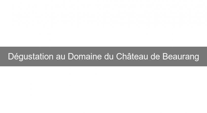 Dégustation au Domaine du Château de Beaurang Dégustation au Domaine du Château de Beaurang