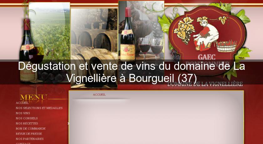 Dégustation et vente de vins du domaine de La Vignellière à Bourgueil (37) Dégustation et vente de vins du domaine de La Vignellière à Bourgueil (37)