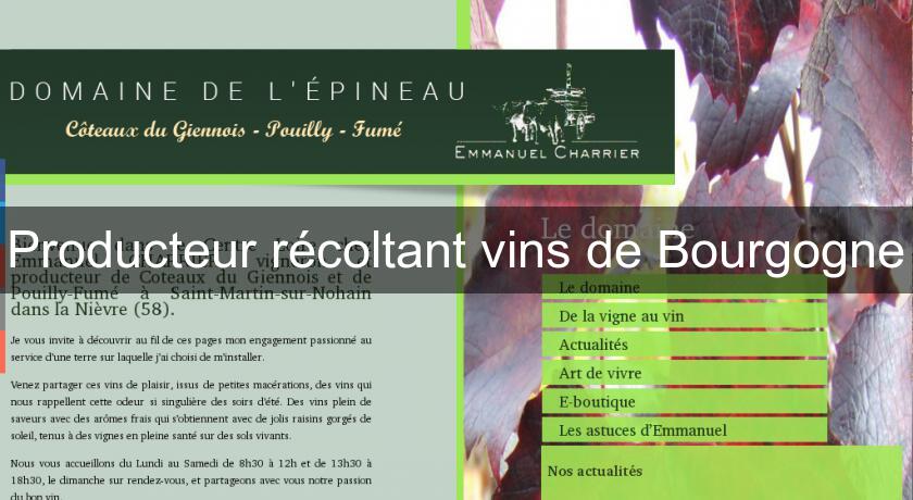Producteur récoltant vins de Bourgogne Producteur récoltant vins de Bourgogne