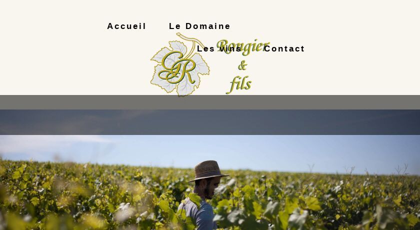 Vins du Maconnais Vins du Maconnais
