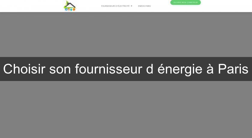 Choisir son fournisseur d'énergie à Paris Choisir son fournisseur d'énergie à Paris