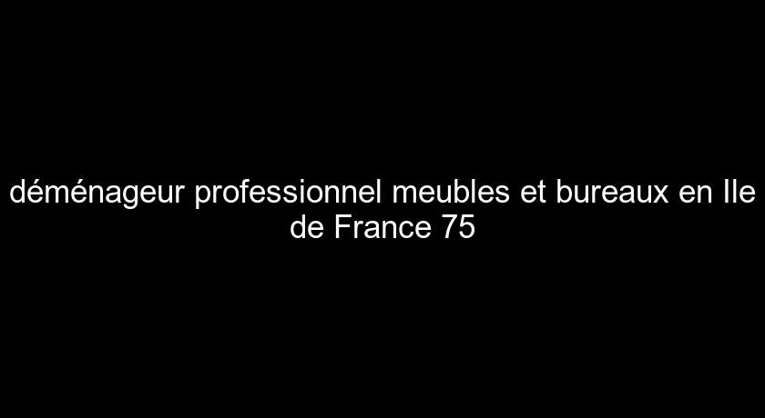 déménageur professionnel meubles et bureaux en Ile de France 75 déménageur professionnel meubles et bureaux en Ile de France 75