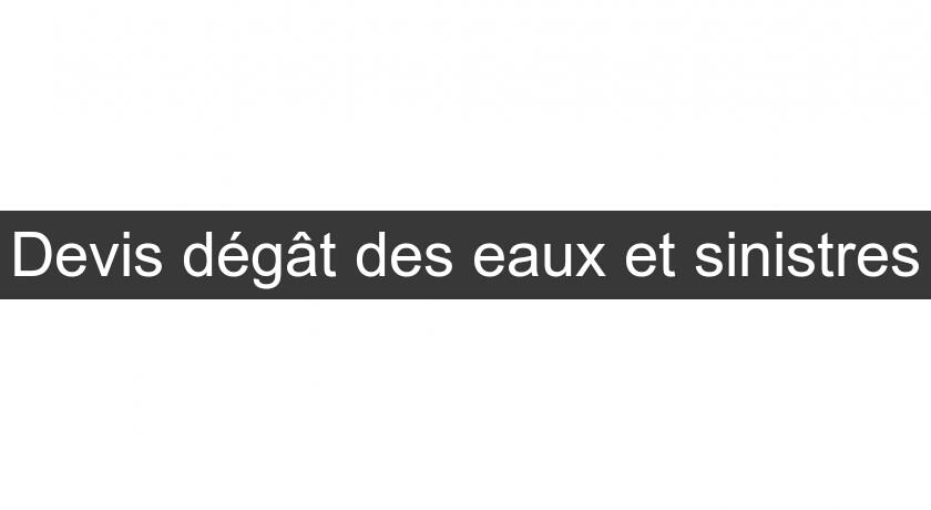 Devis dégât des eaux et sinistres Devis dégât des eaux et sinistres