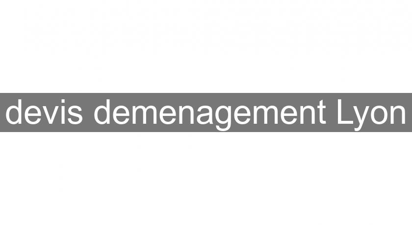 devis demenagement Lyon devis demenagement Lyon