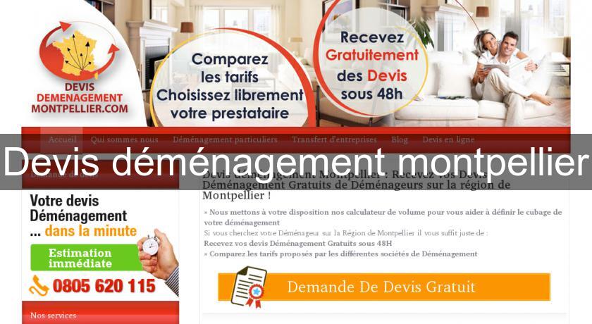 Devis déménagement montpellier Devis déménagement montpellier