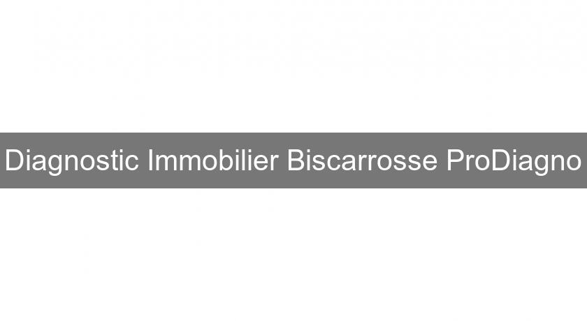 Diagnostic Immobilier Biscarrosse ProDiagno Diagnostic Immobilier Biscarrosse ProDiagno