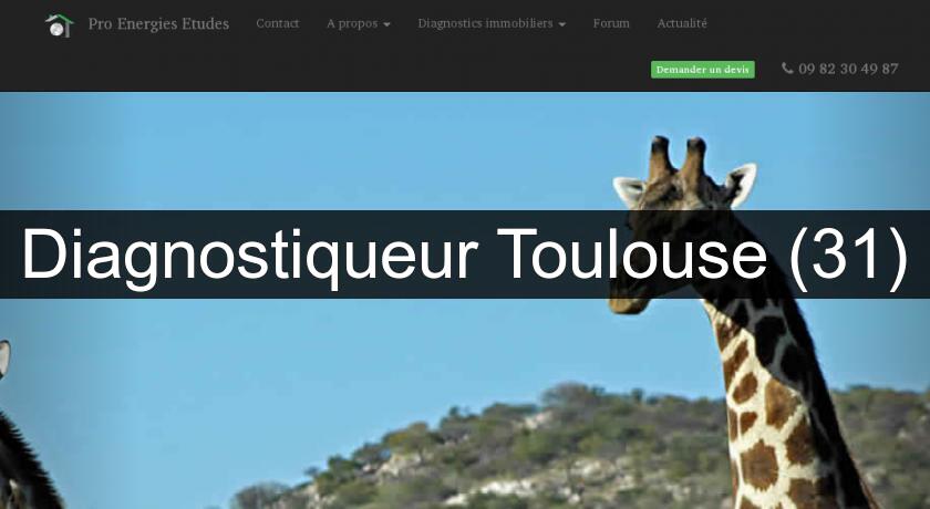 Diagnostiqueur Toulouse (31) Diagnostiqueur Toulouse (31)
