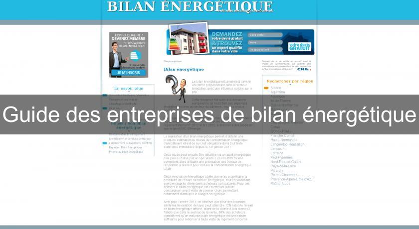 Guide des entreprises de bilan énergétique Guide des entreprises de bilan énergétique