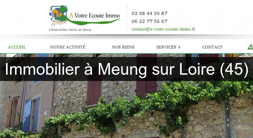 Immobilier à Meung sur Loire (45) Immobilier à Meung sur Loire (45)