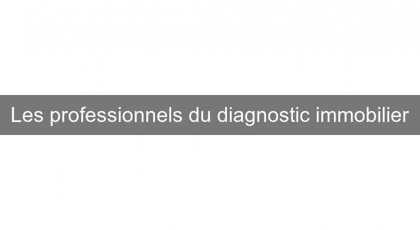 Les professionnels du diagnostic immobilier Les professionnels du diagnostic immobilier