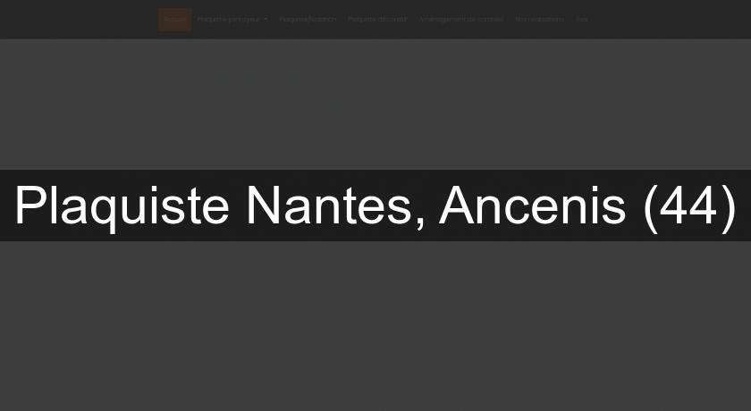 Plaquiste Nantes, Ancenis (44) Plaquiste Nantes, Ancenis (44)