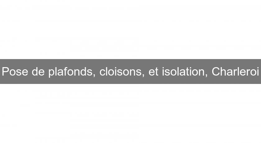 Pose de plafonds, cloisons, et isolation, Charleroi Pose de plafonds, cloisons, et isolation, Charleroi